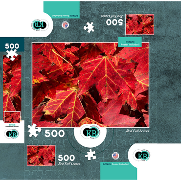 Macro Photography: Red Fall Leaves, no.3 500 Jigsaw Puzzle box 3D Modell