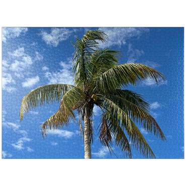 puzzleplate Nature Photography: Palm Skies, Florida, USA 1000 Jigsaw Puzzle