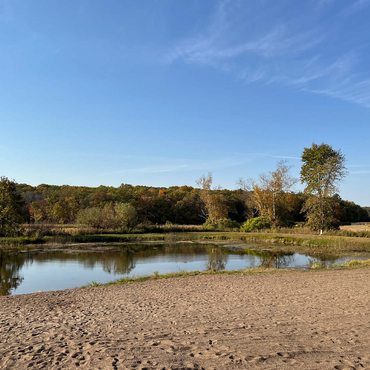 Nature Photography: Scenic Pond, Minnesota, USA 500 Jigsaw Puzzle 3D Modell