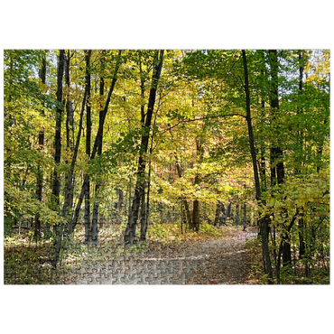 puzzleplate Nature Photography: Scenic Trail, Minnesota, USA 500 Jigsaw Puzzle