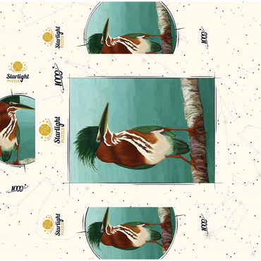 Green Heron on Branch with Vibrant Plumage 1000 Jigsaw Puzzle box 3D Modell