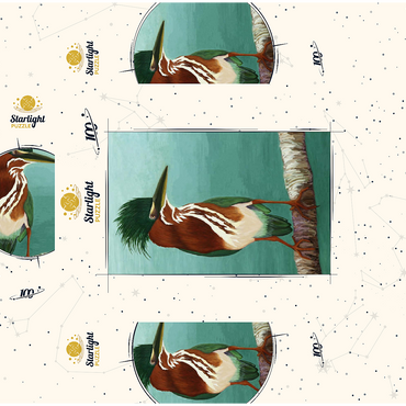 Green Heron on Branch with Vibrant Plumage 100 Jigsaw Puzzle box 3D Modell