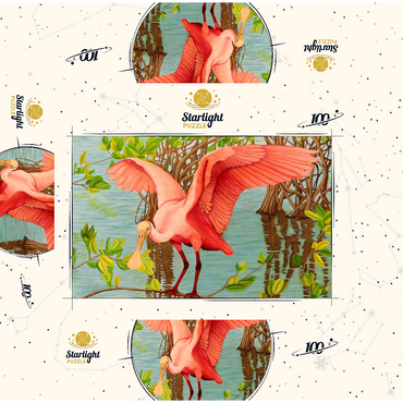 Roseate Spoonbill in Mangrove Habitat 100 Jigsaw Puzzle box 3D Modell