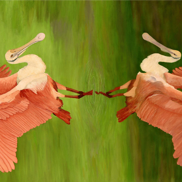 Roseate Spoonbill with Mirror Reflection 1000 Jigsaw Puzzle 3D Modell