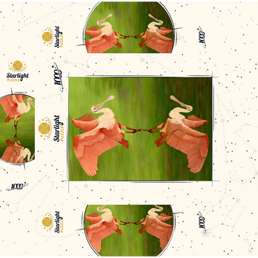 Roseate Spoonbill with Mirror Reflection 1000 Jigsaw Puzzle box 3D Modell