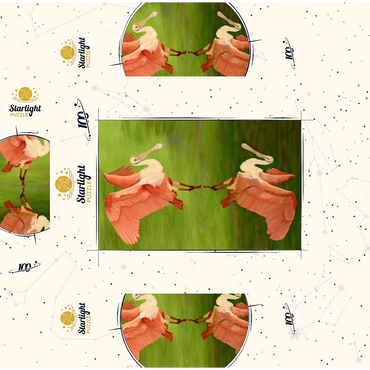 Roseate Spoonbill with Mirror Reflection 100 Jigsaw Puzzle box 3D Modell