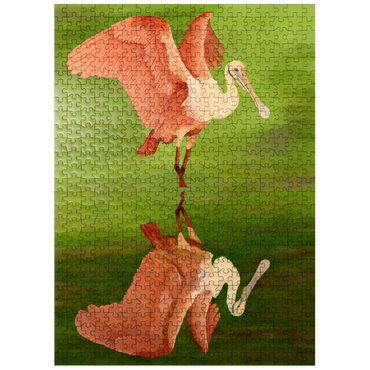 puzzleplate Roseate Spoonbill with Mirror Reflection 500 Jigsaw Puzzle