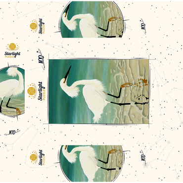 Snowy Egret Walking in Shallow Waters 100 Jigsaw Puzzle box 3D Modell