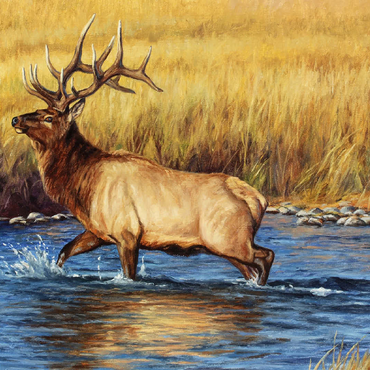Bull Elk Crossing River in Autumn 100 Jigsaw Puzzle 3D Modell