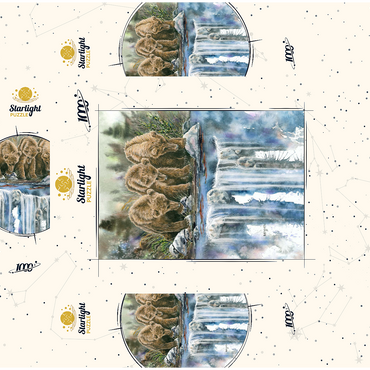 Three Grizzly Cubs by a Waterfall 1000 Jigsaw Puzzle box 3D Modell