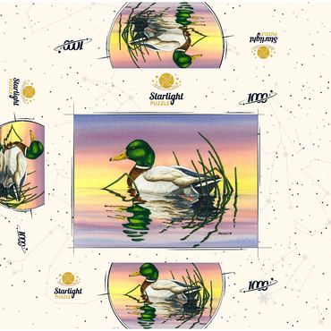 Mallard Duck at Sunset Reflection 1000 Jigsaw Puzzle box 3D Modell