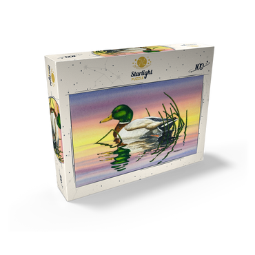 Mallard Duck at Sunset Reflection 100 Jigsaw Puzzle box view2