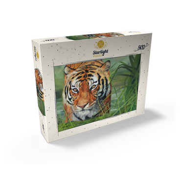 Tiger Stalking Through Lush Wetlands 500 Jigsaw Puzzle box view2