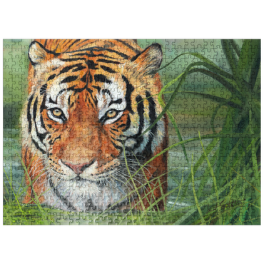 puzzleplate Tiger Stalking Through Lush Wetlands 500 Jigsaw Puzzle