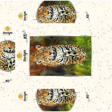 Leopard Stepping Through Lush Grass 100 Jigsaw Puzzle box 3D Modell