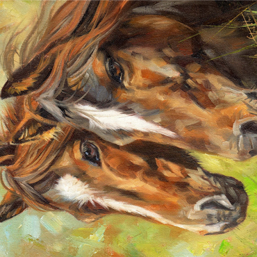 Close-Up of Two Horses in Pasture 1000 Jigsaw Puzzle 3D Modell