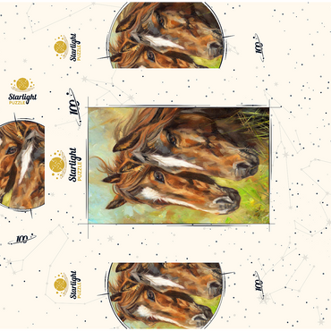 Close-Up of Two Horses in Pasture 100 Jigsaw Puzzle box 3D Modell