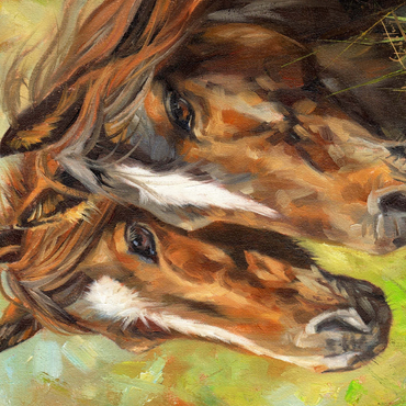 Close-Up of Two Horses in Pasture 500 Jigsaw Puzzle 3D Modell