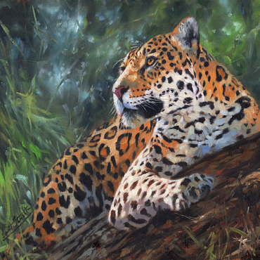 Leopard Resting on Forest Log 100 Jigsaw Puzzle 3D Modell