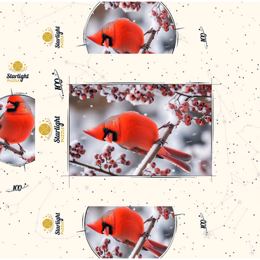 Northern Cardinal on Snowy Branch 100 Jigsaw Puzzle box 3D Modell