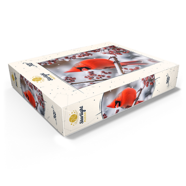 Northern Cardinal on Snowy Branch 300 Jigsaw Puzzle box view1
