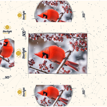 Northern Cardinal on Snowy Branch 500 Jigsaw Puzzle box 3D Modell