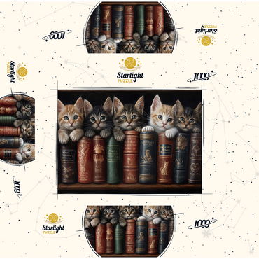 Adorable Kittens Nestled Among Vintage Books 1000 Jigsaw Puzzle box 3D Modell