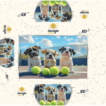 Adorable Puppies Playing with Tennis Balls 100 Jigsaw Puzzle box 3D Modell