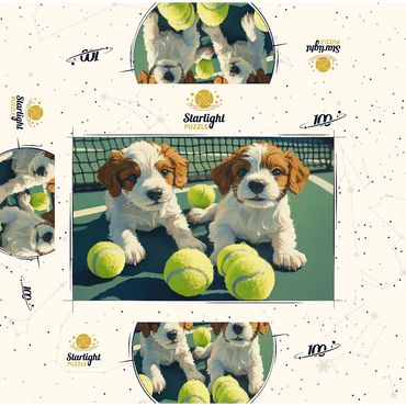 Cute Puppies with Tennis Balls on Court 100 Jigsaw Puzzle box 3D Modell