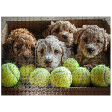 puzzleplate Adorable Puppies in Box with Tennis Balls 500 Jigsaw Puzzle