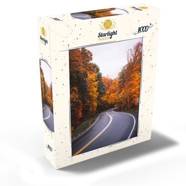 Winding Road Through Vibrant Autumn Forest 1000 Jigsaw Puzzle box view2