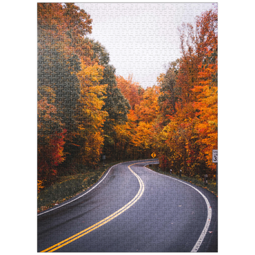 puzzleplate Winding Road Through Vibrant Autumn Forest 1000 Jigsaw Puzzle