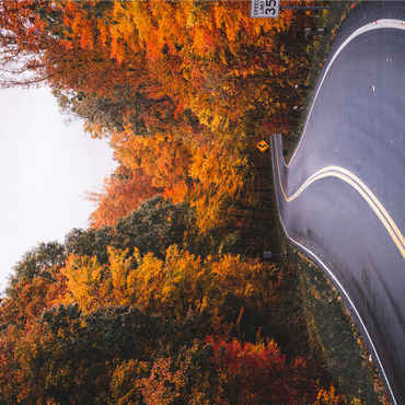 Winding Road Through Vibrant Autumn Forest 1000 Jigsaw Puzzle 3D Modell