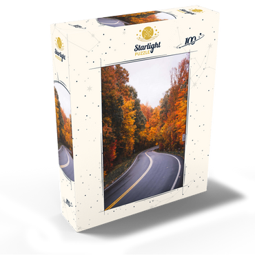 Winding Road Through Vibrant Autumn Forest 100 Jigsaw Puzzle box view2