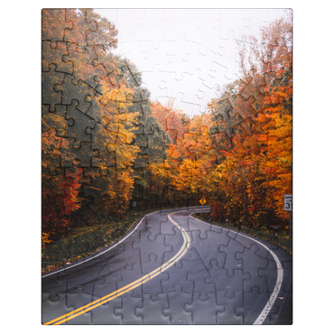 puzzleplate Winding Road Through Vibrant Autumn Forest 100 Jigsaw Puzzle