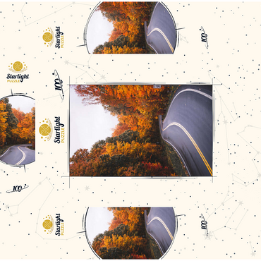 Winding Road Through Vibrant Autumn Forest 100 Jigsaw Puzzle box 3D Modell