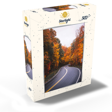 Winding Road Through Vibrant Autumn Forest 500 Jigsaw Puzzle box view2