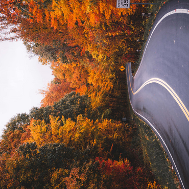 Winding Road Through Vibrant Autumn Forest 500 Jigsaw Puzzle 3D Modell