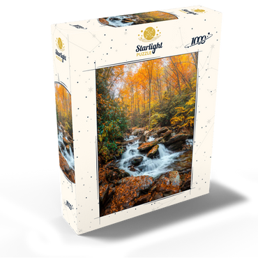 Cascading Stream in Autumn Forest 1000 Jigsaw Puzzle box view2
