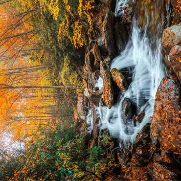 Cascading Stream in Autumn Forest 100 Jigsaw Puzzle 3D Modell