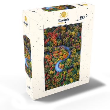 Winding Road Through Dense Autumn Forest 100 Jigsaw Puzzle box view2