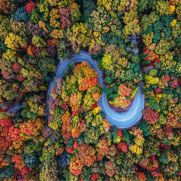 Winding Road Through Dense Autumn Forest 100 Jigsaw Puzzle 3D Modell