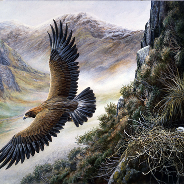 Golden Eagle Soaring Over Mountain Nest 1000 Jigsaw Puzzle 3D Modell