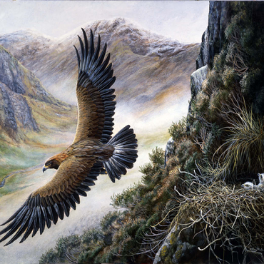 Golden Eagle Soaring Over Mountain Nest 100 Jigsaw Puzzle 3D Modell