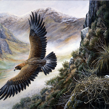 Golden Eagle Soaring Over Mountain Nest 500 Jigsaw Puzzle 3D Modell