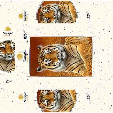 Majestic Bengal Tiger in Golden Grass 100 Jigsaw Puzzle box 3D Modell