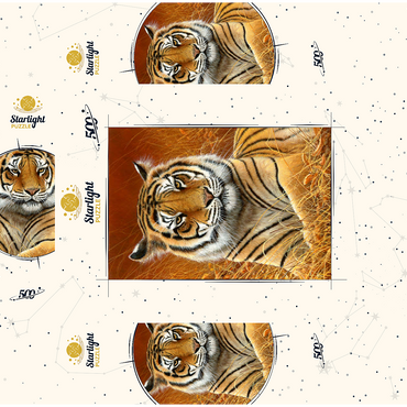 Majestic Bengal Tiger in Golden Grass 500 Jigsaw Puzzle box 3D Modell