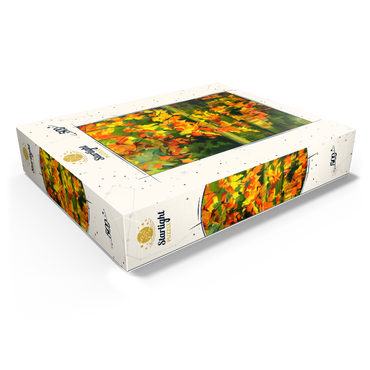 Autumn Leaves Reflecting on Tranquil Water 500 Jigsaw Puzzle box view1