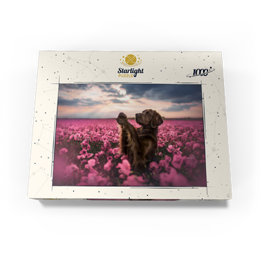 Chocolate Labrador in Blooming Pink Field 1000 Jigsaw Puzzle box view3