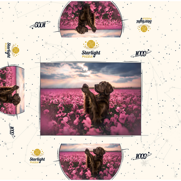 Chocolate Labrador in Blooming Pink Field 1000 Jigsaw Puzzle box 3D Modell
